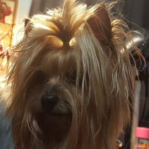 Meet your Posher, Barbara